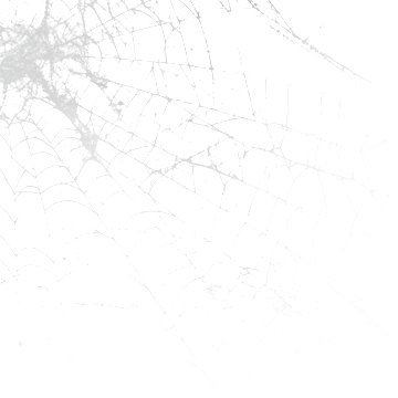 web